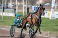 Harness racing in Sweden